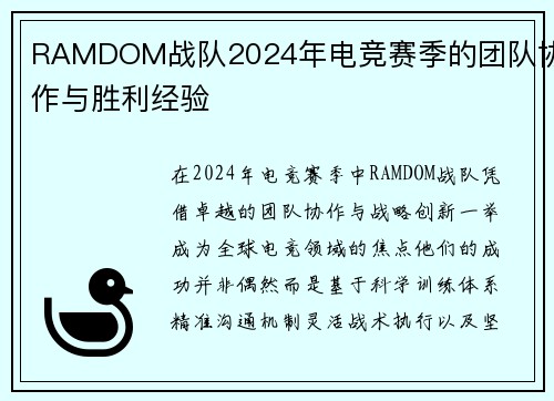 RAMDOM战队2024年电竞赛季的团队协作与胜利经验